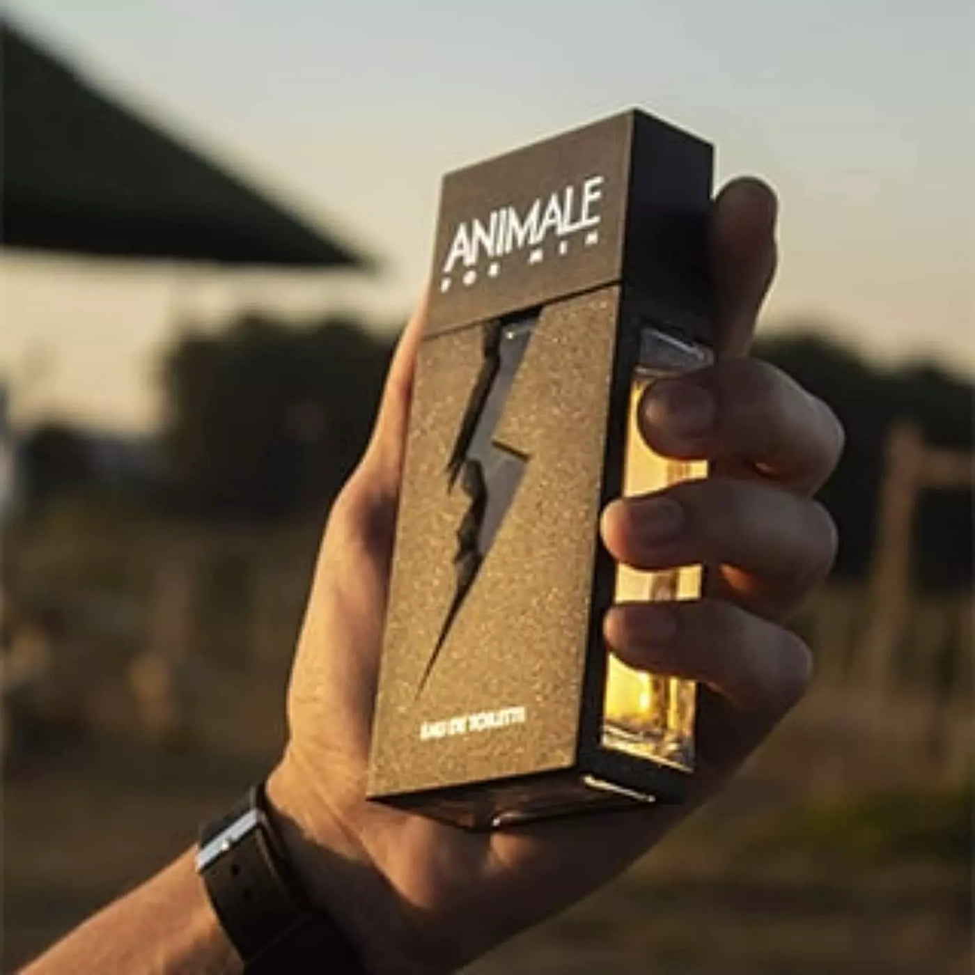 🔥 Perfume Masculino Animale For Men – Eau de Toilette 30ml